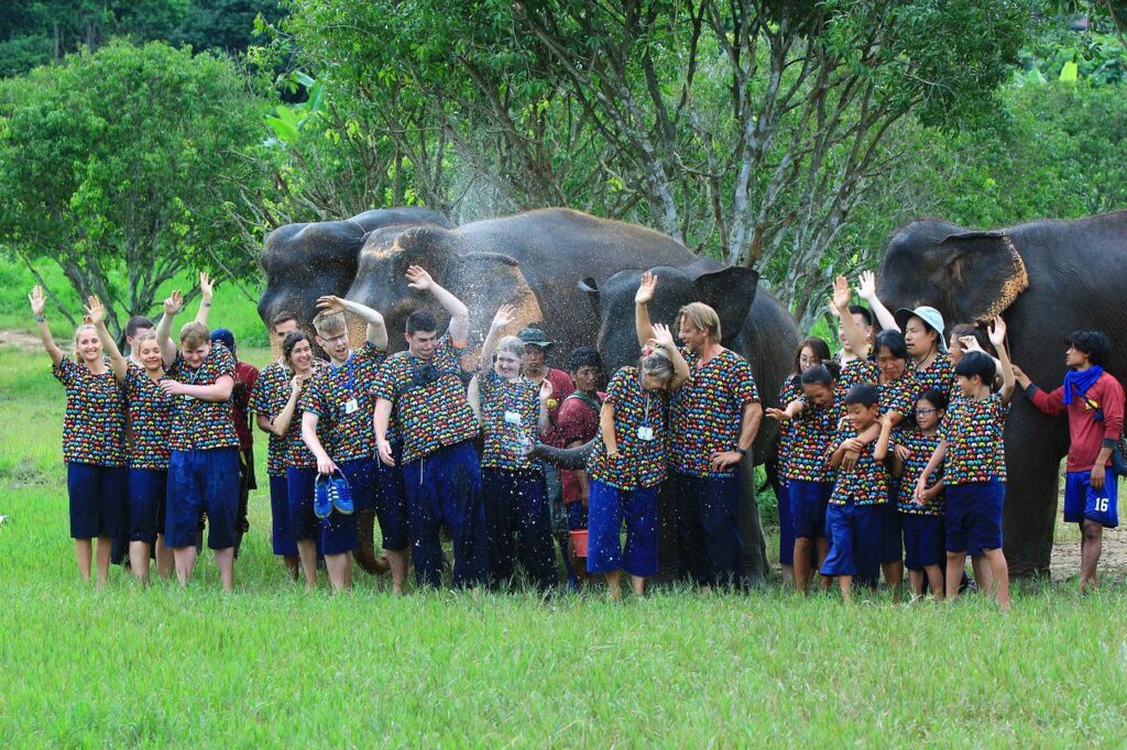 Volunteering elephant sanctuary Thailand
