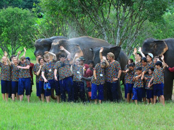 Volunteering elephant sanctuary Thailand