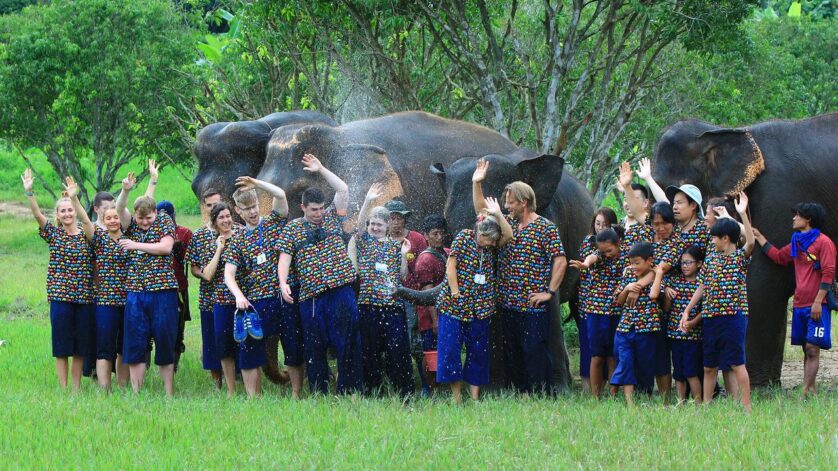 Volunteering elephant sanctuary Thailand